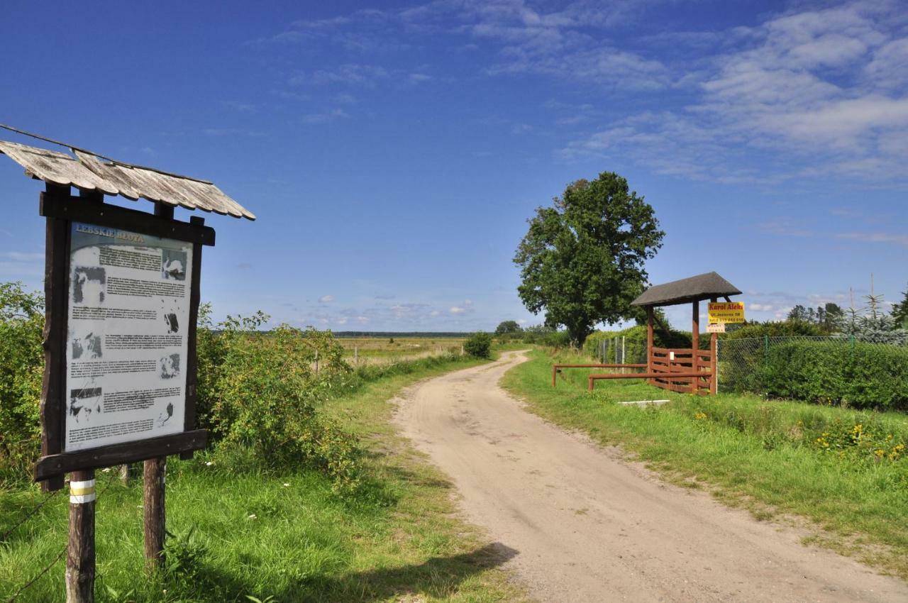 Homebaltic Łeba Eksteriør billede
